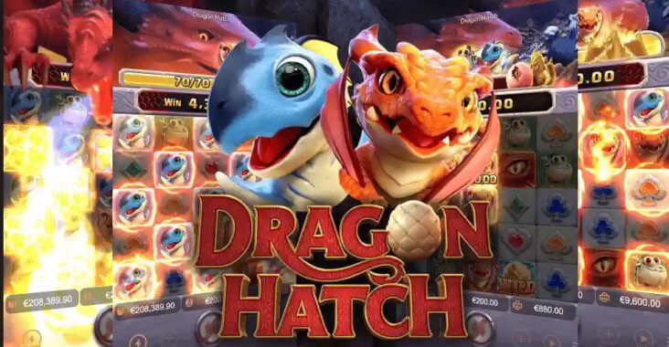 Tips Meningkatkan Peluang Menang Bermain Slot Dragon Hatch